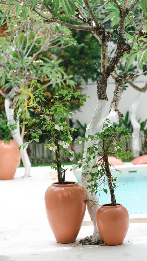 Villa Diola 3 Canggu  Bagian luar foto